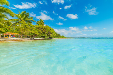 Colorful shore in Bois Jolan beach in Guadeloupe