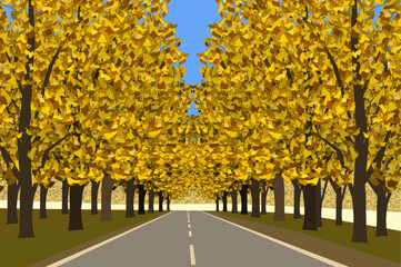 樹木_07_秋のいちょう並木