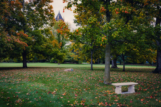 Iowa State University Campus in Ames during Autumn