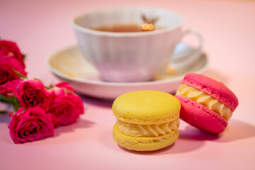 Delicious french macaroon dessert close-up