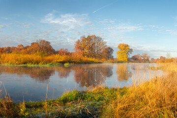 Autumn landscape of river and her banks with yellow bushes and trees in sunrise. There is a light fog above the surface of the river.