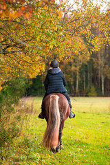 Woman horseback riding in autumn