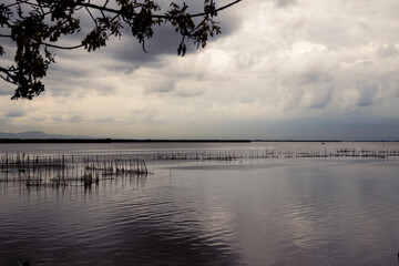 beautiful landscape of the Albufera on a cloudy day