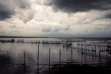 beautiful landscape of the Albufera on a cloudy day