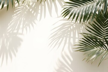 Obraz premium Green tropical tree palm leaves with sunny shadow on white wall as background. Shadows of leaves in sunlight. Copy space. Minimal stylish background for presentation