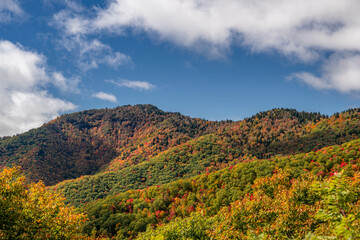 blue ridge parkway