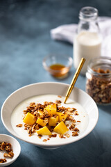 Homemade yogurt with granola and mango