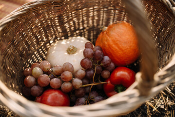 Wicker basket with autumn harvest. Pumpkin, grapes, red pepper, apples in a basket