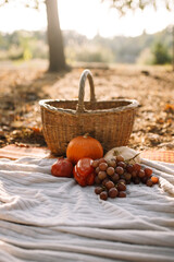 Wicker basket with autumn harvest on a picnic in the forest. Autumn mood Vertical photo