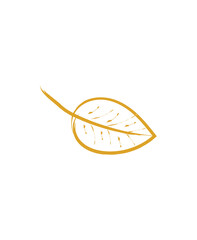 Orange Fall Autumn Single Leaf Outline Transparent PNG Vector Clipart Image  
