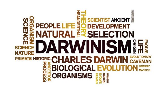 Darwinism animated tag word cloud;text design animation kinetic typography seamless loop.