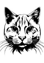 cat vector illustration