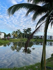 Obraz premium Tropical morning reflections 