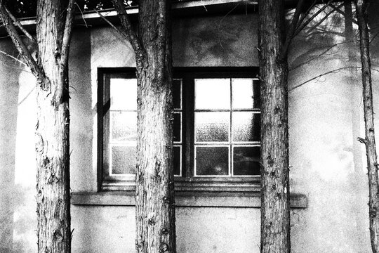 Fen&ecirc;tre intrigante 