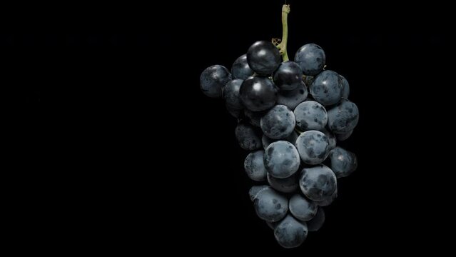 A Cluster of Black Grapes rotating on a Black background. Isolated for cutting out.