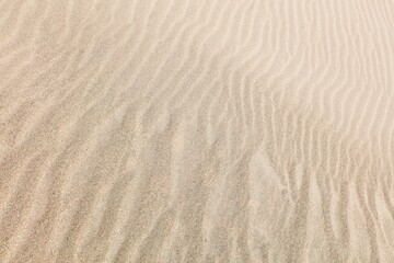 Fototapeta na wymiar Closeup of sand dune abstract texture.
