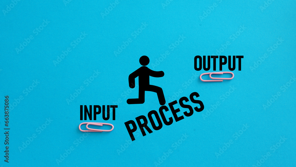 Poster flow of input and output with process . input, output, outcome and impact