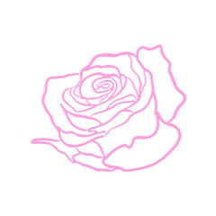 Abstract Pink Rose Chrome Shape