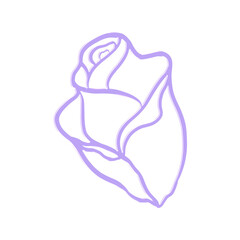 Abstract Purple Rose Chrome Shape