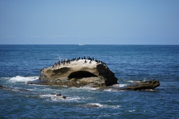 Fototapeta premium Group of avians on rock formation situated in the middle of a vast expanse of open water