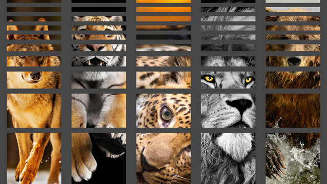 Plop Down And Stretch