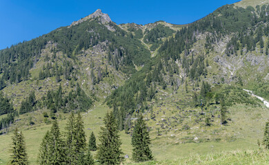 Nebelhorn cableway cabins and mountain green slope, Oberstdorf,  Germany
