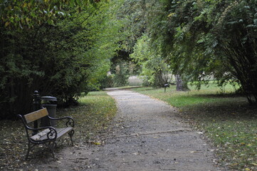 Path in the park in nature with a bench