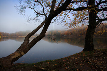 Fototapeta premium Beautiful autumn scenic view of lake and forest with mist morning