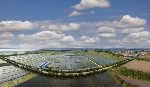 HP northeast rice village of the earth