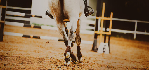 A gray horse galloping towards a jumping obstacle at a show jumping competition. The world of...