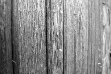 Obraz premium Wooden pattern close view, black and white wooden surface