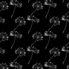 Abstract dandelion patterns with flying seeds. White dandelion seeds fly on Black background