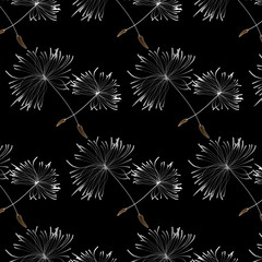 Abstract dandelion patterns with flying seeds. White dandelion seeds fly on Black background - 663892060
