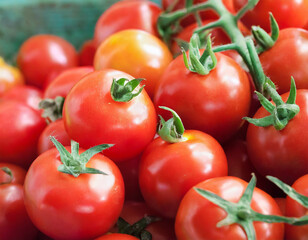group of red tomato. vegetable tomatoes fresh organic ingredient.
