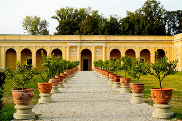 Villa Contarini Camerini, villa Palladiana del Brenta in provincia di Padova. Piazzola del Brenta, Veneto, Italia