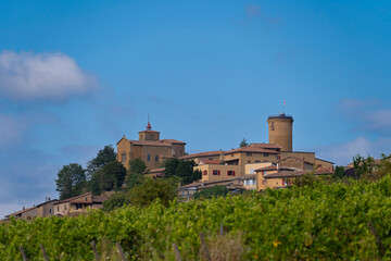 Fototapeta na wymiar Val d'Oingt, France - 08 29 2021: Rhône Vineyard. View of a vine field and of the Saint-Mathieu de Oingt Church and the Oingt Tower behind.