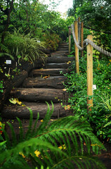 Wooden staircase with green plants around after the rain