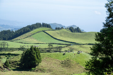 Fototapeta na wymiar Mountainous landscapes of Pico do Carvão on Sao Miguel Island in the Azores 