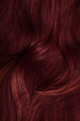 Dark red hair close-up as a background. Women's long brown hair. Beautifully styled wavy shiny curls. Coloring hair with bright shades. Hairdressing procedures, extension.