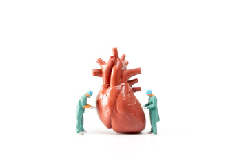 Miniature Doctor checking and analysis heart model on white background, Science and medicine concept - obrazy, fototapety, plakaty