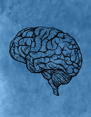 brain - digital painting © neurostructure