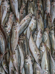 Obraz premium Sardines fraiches en vente au marché