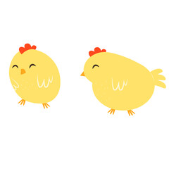 Little yellow chicken chick 