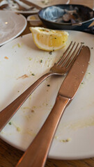 Dirty empty plates after eating with used lemon