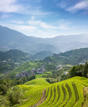 Guangxi guilin longsheng autonomous county of gold pit da-zhai red yao terraces