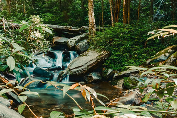 Small waterfall along Alum Cave Trail