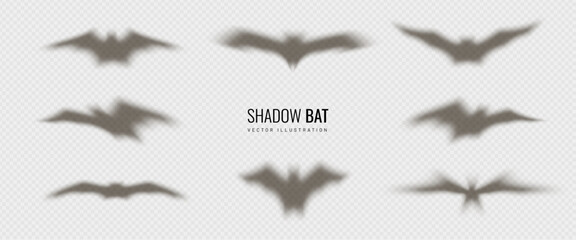 Silhouette bat - element for Halloween. Shadow casting as decoration on a banner for the Day of All Dead celebrations. Blurred vector illustration