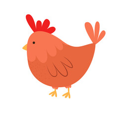 Cute red brown chicken