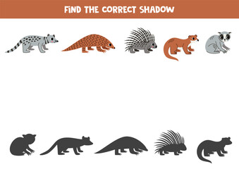 Find shadows of cute Asian animals. Educational logical game for kids.
