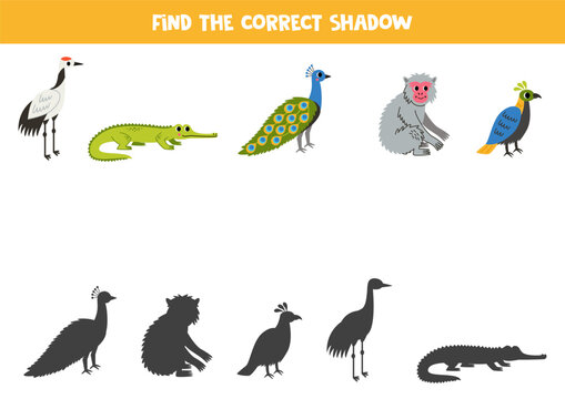 Find shadows of cute Asian animals. Educational logical game for kids.